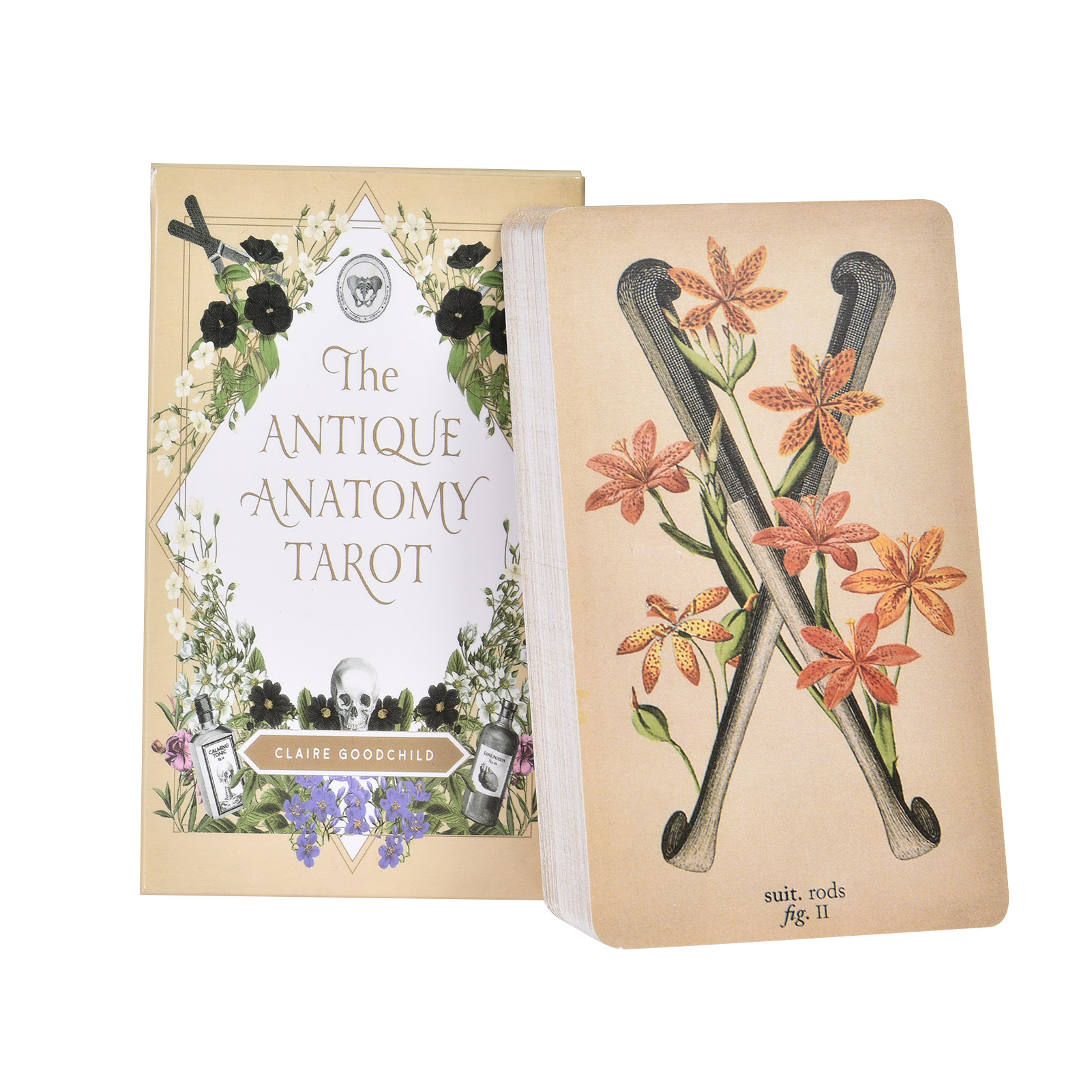 Tarot Cards Deck With Guidebook - Antik Anatomi Tarot Kartları İngilizce Versiyonu